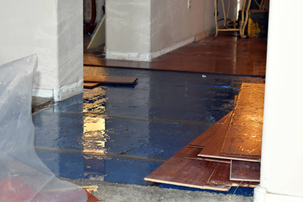 Professional Water Damage technician working in Laceys Spring, AL